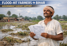 Bihar Krishi Input Subsidy 2026 Online Apply Started Bihar farmer standing in damaged crop field after flood applying for Krishi Input Subsidy 2026